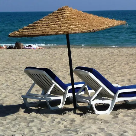 Climatise Avec Terrasse, Piscine Et Parking Prive - Fr-1-472a-140