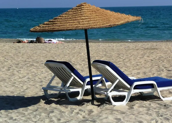 Studio Climatise Avec Terrasse, Vue Mer Et Parking Prive - Fr-1-472A-140